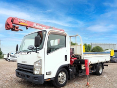 Isuzu Small Flat body ********* (107873) 1枚目