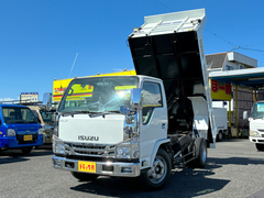 Isuzu Small Soil dump 2PG-NKR88N (109185) 1枚目