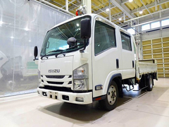 Isuzu Small Double cab TPG-NMS85AN (96960) 1枚目
