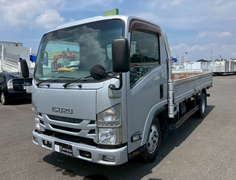 Isuzu Small Flat body TRG-NMR85AR (91561) 1枚目