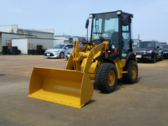 小型 その他 CAT0901C2 (92548) 1枚目