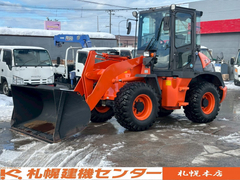 Large  YDN-H80 (100868) 1枚目