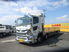 日野 小型 平ボディ 2DG-FW1EHG (112935) 1枚目