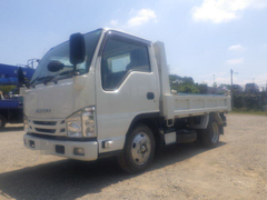 Isuzu Small Soil dump TPG-NJR85AD (10866) 1枚目