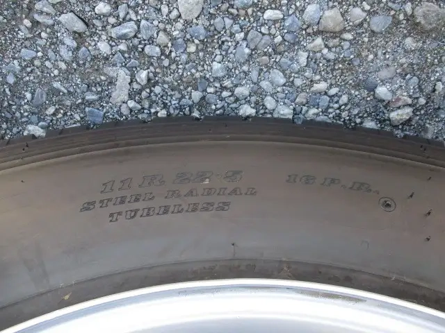 Trex Box trailer CTB34004(106658) 23枚目
