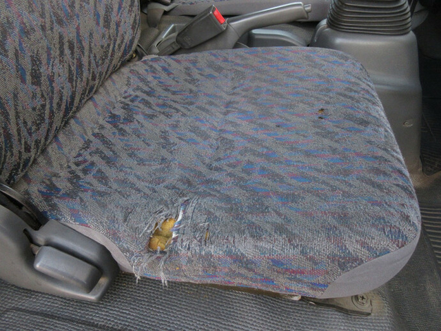いすゞ エルフ 小型 幌車（ウィング式） KR-NPR81PAV(7722) 33枚目