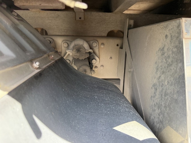 三菱ふそう ファイター 増トン 平ボディ 2KG-FK62FY(95175) 39枚目