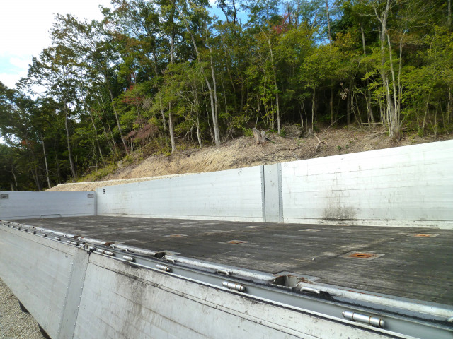 日野 プロフィア 大型 平ボディ 2DG-FR1AHJ(95551) 18枚目