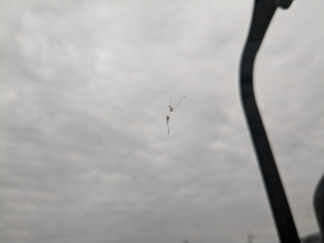 いすゞ フォワード 中型 冷凍冷蔵バン TKG-FRR90S2(95561) 41枚目