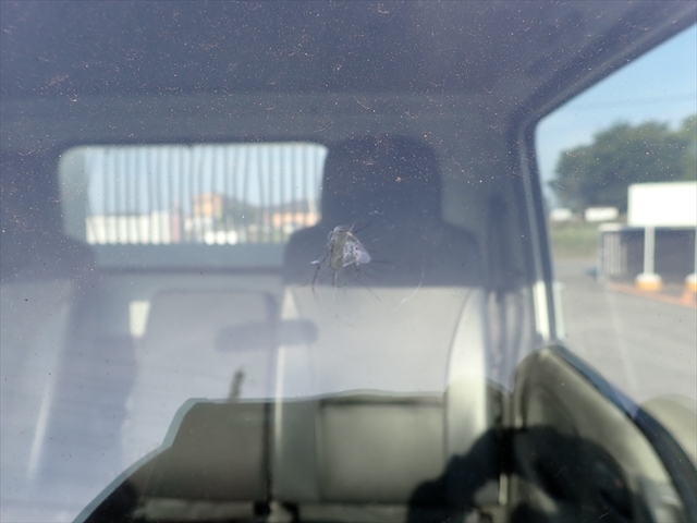 いすゞ エルフ 小型 ローダーダンプ TPG-NKR85AN(95828) 38枚目