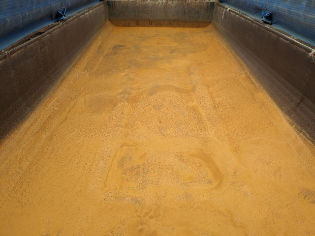 三菱ふそう スーパーグレート 大型 土砂ダンプ QKG-FV60VX(96159) 13枚目