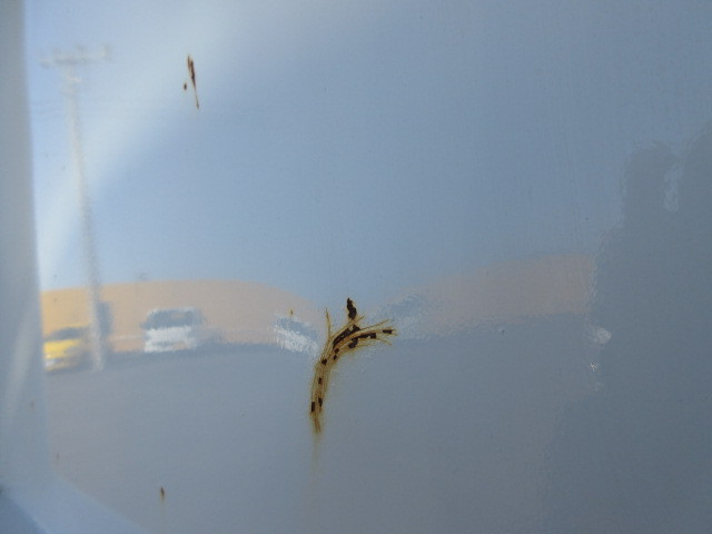 いすゞ フォワード 小型 土砂ダンプ 2RG-FRR90S1(96582) 43枚目