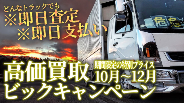 スズキ キャリィ 軽 冷凍冷蔵バン EBD-DA63T(96665) 41枚目