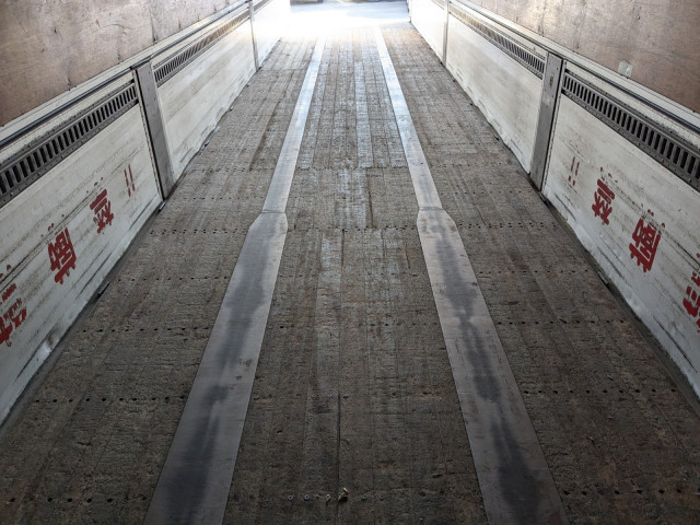 Trex Small Other trailer PFN24101(98644) 33枚目