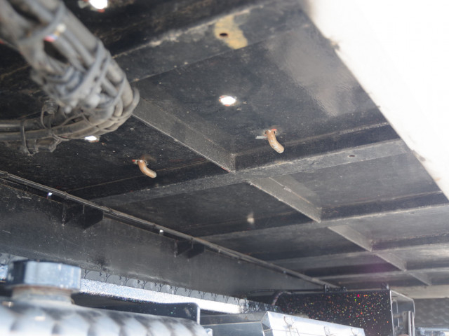 三菱ふそう キャンター 小型 キャリアカー TKG-FEB80(100911) 12枚目