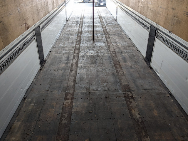 Trex Small Other trailer PFB34118(101338) 38枚目