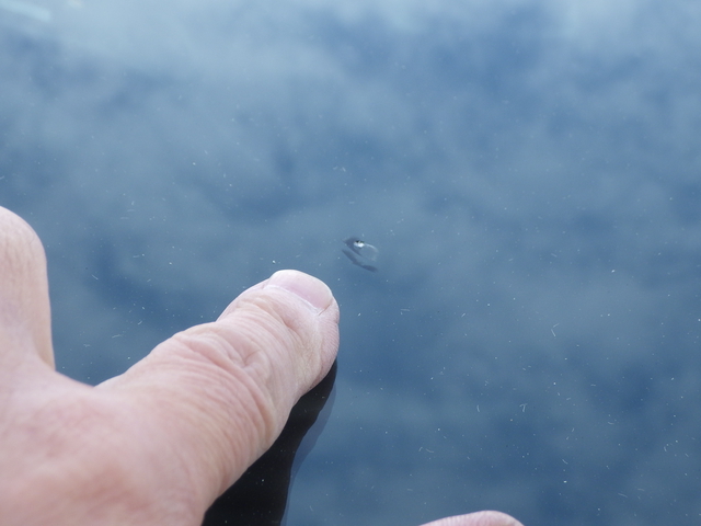 Isuzu forward Middle Wing body 2RG-FRR90T2(102001) 19枚目