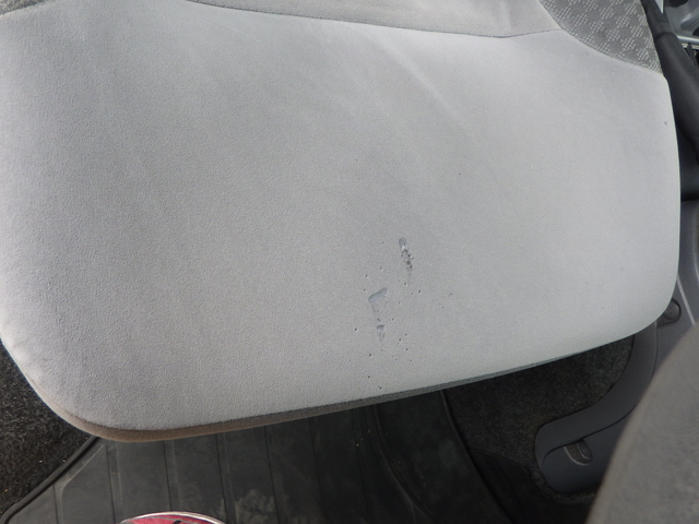 Isuzu forward Middle Wing body 2RG-FRR90T2(102001) 22枚目