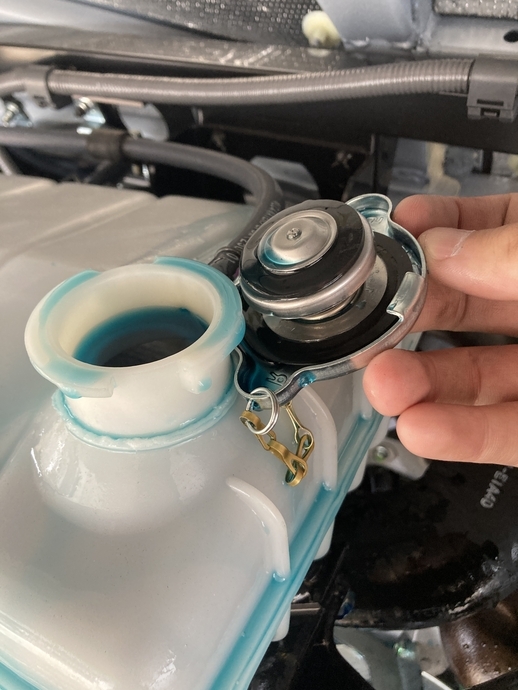 Hino selega Large Buses 2PG-RU1ASDA(102311) 50枚目