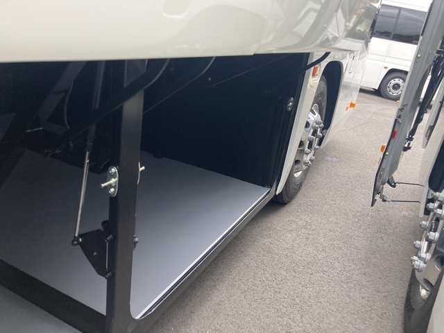 Hino selega Large Buses 2PG-RU1ASDA(102311) 23枚目