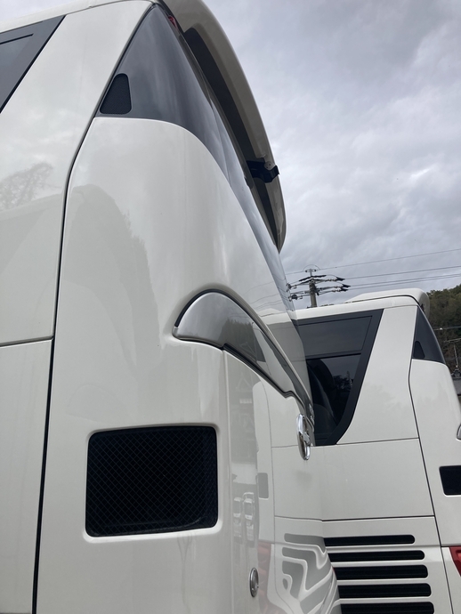 Hino selega Large Buses 2PG-RU1ASDA(102311) 5枚目