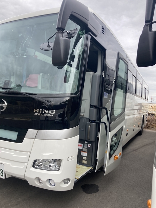 Hino selega Large Buses 2PG-RU1ASDA(102311) 4枚目