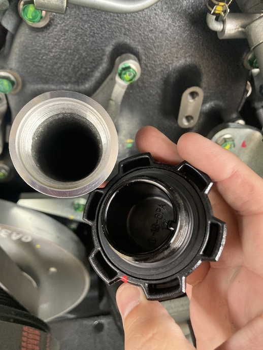 Hino selega Large Buses 2PG-RU1ASDA(102311) 45枚目