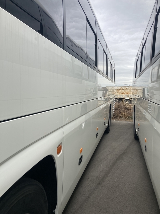 Hino selega Large Buses 2PG-RU1ASDA(102311) 12枚目