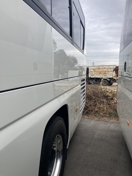 Hino selega Large Buses 2PG-RU1ASDA(102311) 11枚目