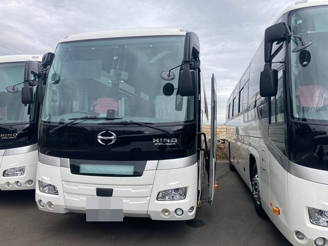 Hino selega Large Buses 2PG-RU1ASDA(102311) 1枚目