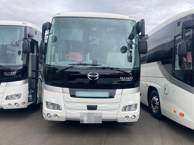 Hino selega Large Buses 2PG-RU1ASDA(102311) 2枚目