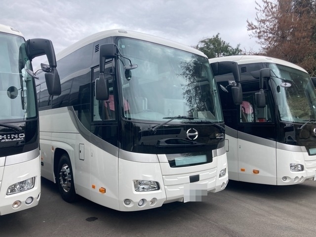Hino selega Large Buses 2PG-RU1ASDA(102311) 3枚目