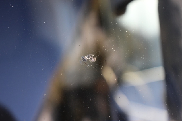 いすゞ エルフ 小型 セーフティローダー TRG-NPR85AN(102879) 37枚目