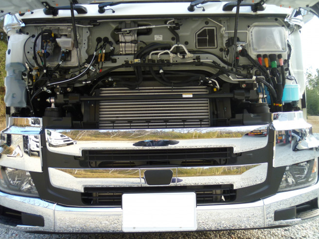 Hino profia Large Wing body 2DG-FW1AHC(103151) 8枚目