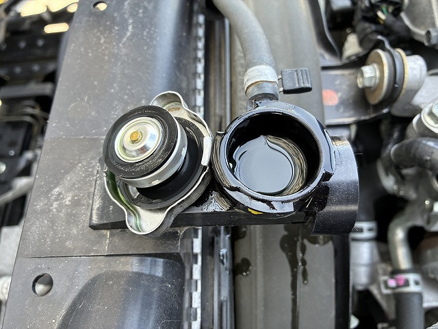 いすゞ エルフ 小型 キャリアカー 2RG-NPR88AM(103382) 40枚目