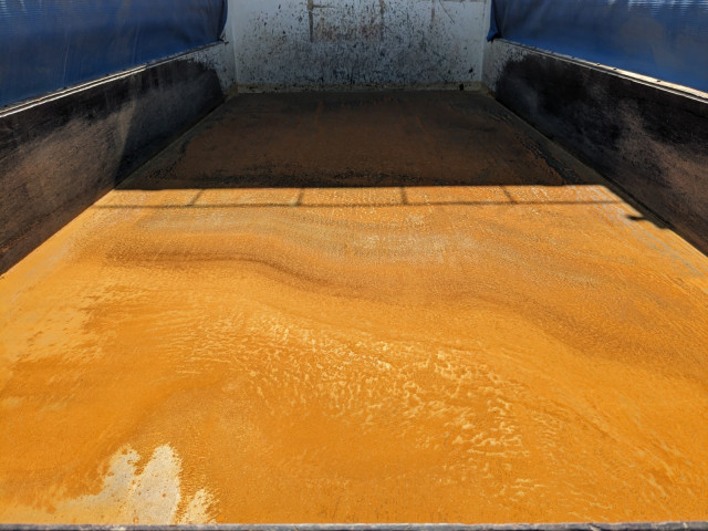 日野 プロフィア 大型 土砂ダンプ 2DG-FA1AGA(103663) 11枚目