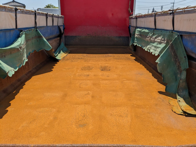 Isuzu giga Large Soil dump 2KG-CXZ77CT(105325) 11枚目