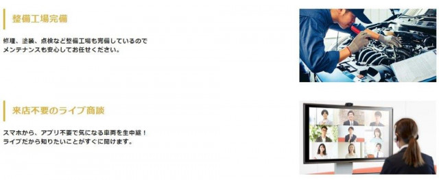 - Large Translation missing: en.item.body_keijou_enum.body_keijou_carrier_other SB-B9X(109162) 40枚目