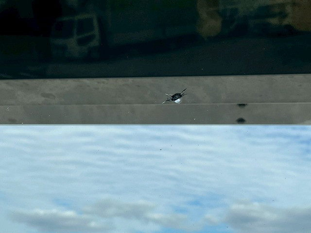 いすゞ フォワード 中型 平ボディ TKG-FRR90T2(98157) 34枚目